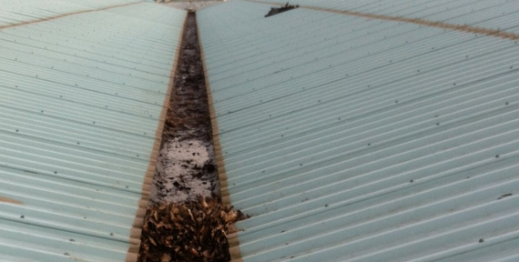 Gutter  Clean, Maintenance, AB Roofing Solutions